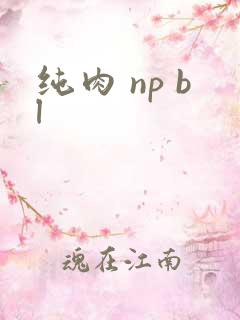 纯肉 np bl