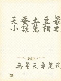 天蚕土豆最新的小说万相之王