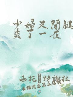 少妇叉开腿让我爽了一夜