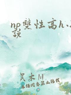 np双性高h小说