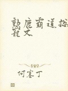 勋鹿霸道总裁甜宠文