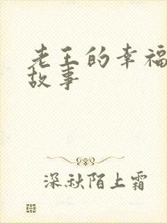 老王的幸福生活故事