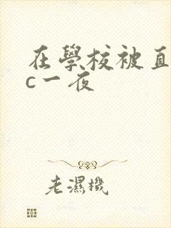 在学校被直男猛c一夜
