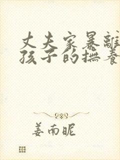 丈夫家暴离婚后孩子的抚养权归谁