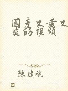 国产又黄又粗又爽的视频