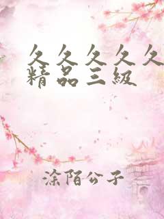 久久久久久国产精品三级