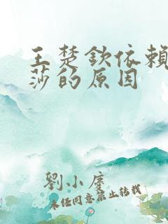 王楚钦依赖孙颖莎的原因