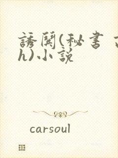 诱哄(秘书 高h)小说