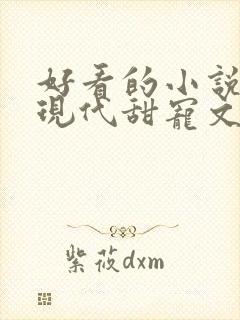 好看的小说言情现代甜宠文