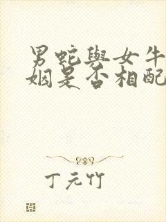 男蛇与女牛的婚姻是否相配