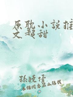 原耽小说推荐甜文超甜