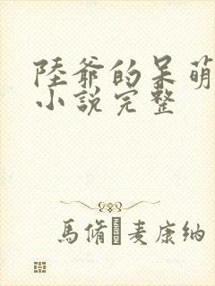 陆爷的呆萌甜妻小说完整