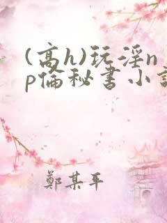 (高h)玩淫np伦秘书小说