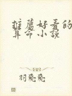 推荐好看的风水算命小说