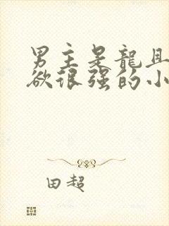 男主是龙且占有欲很强的小说