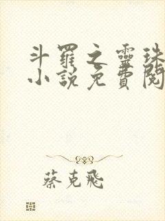 斗罗之灵珠神剑小说免费阅读txt下载