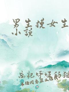 男生摸女生胸的小说