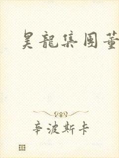 昊龙集团董事长