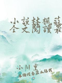 小说林枫苏慕白全文阅读最新章节