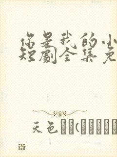 你是我的小美好短剧全集免费