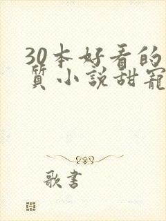 30本好看的肉质小说甜宠文