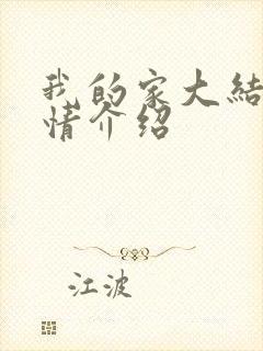 我的家大结局剧情介绍