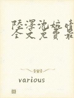 陆泽沈婉晴小说全文免费最新更新