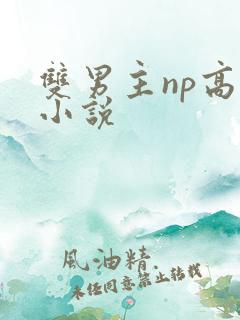 双男主np高h小说