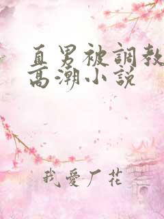 直男被调教玩弄高潮小说