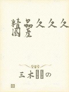 精品久久久久久国产