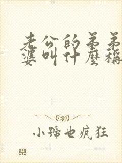 老公的弟弟的老婆叫什么称呼