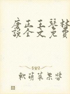 唐正王琴林媛小说全文免费阅读