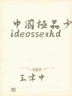 中国极品少妇videossexhd