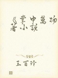 《掌中万物》原著小说