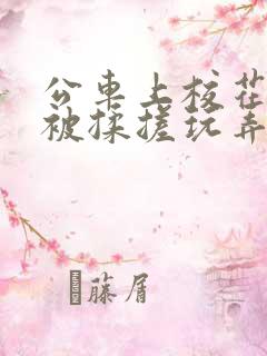 公车上校花双乳被揉搓玩弄小说