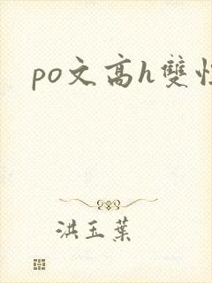 po文高h双性