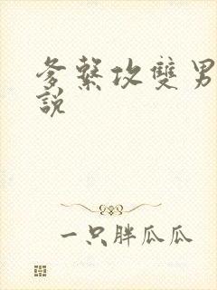 爹系攻双男主小说