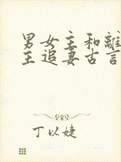 男女主和离后男主追妻古言