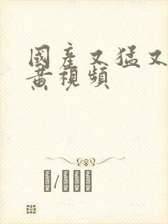 国产又猛又爽又黄视频