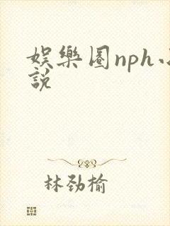 娱乐圈nph小说