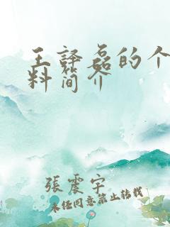 王译磊的个人资料简介