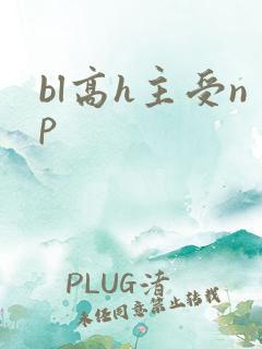 bl高h主受np