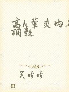 高h荤爽肉欲文调教