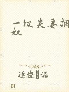 一级夫妻调教男奴