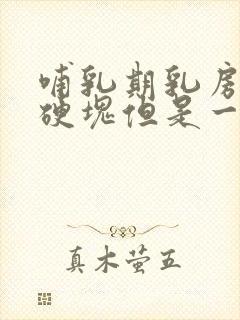 哺乳期乳房没有硬块但是一碰就疼