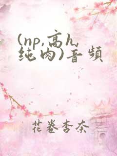 (np,高h,纯肉)音频