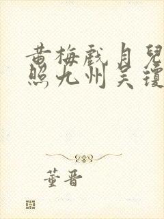 黄梅戏月儿弯弯照九州吴琼演唱