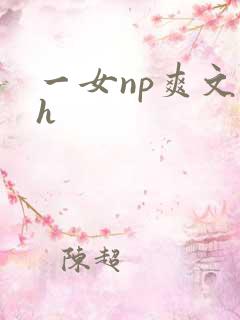 一女np爽文高h