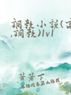 调教小说(高h,调教)1v1