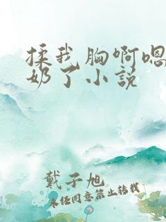 揉我胸啊嗯～出奶了小说